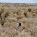 Hunting as it should be…