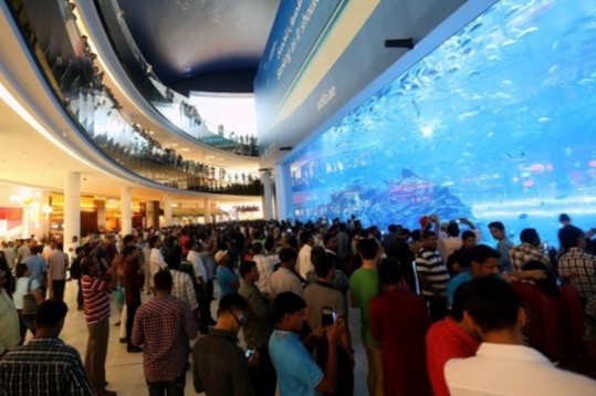 &amp;NCS_modified=20140729082308&amp;MaxW=640&amp;imageVersion=default&amp;AR-140729183